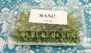 Basil in clam shell packaging